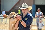 Devon County Show 2026