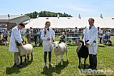 Devon County Show 2026
