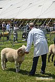 Devon County Show 2026