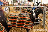 Devon County Show 2026