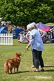 Devon County Show 2026