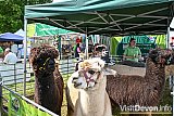 Devon County Show 2026