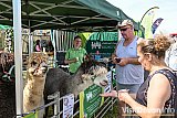 Devon County Show 2026