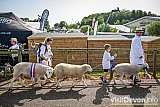 Devon County Show 2026