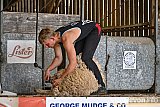 Devon County Show 2026