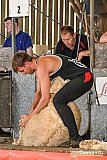 Devon County Show 2026