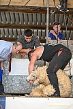 Devon County Show 2026