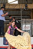 Devon County Show 2026