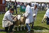 Devon County Show 2026