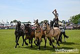 Atkinson Action Horses
