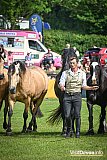 Atkinson Action Horses