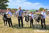 Mid Devon Show 2026