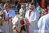 Mid Devon Show 2026