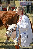 Mid Devon Show 2026