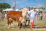 Mid Devon Show 2026
