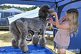 Mid Devon Show 2026