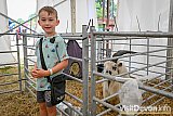 Mid Devon Show 2026
