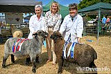 Mid Devon Show 2026