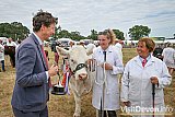 Mid Devon Show 2026
