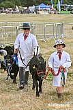 Mid Devon Show 2026
