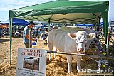 Mid Devon Show 2026