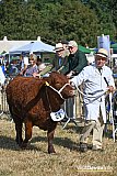 Mid Devon Show 2026