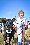Mid Devon Show 2026