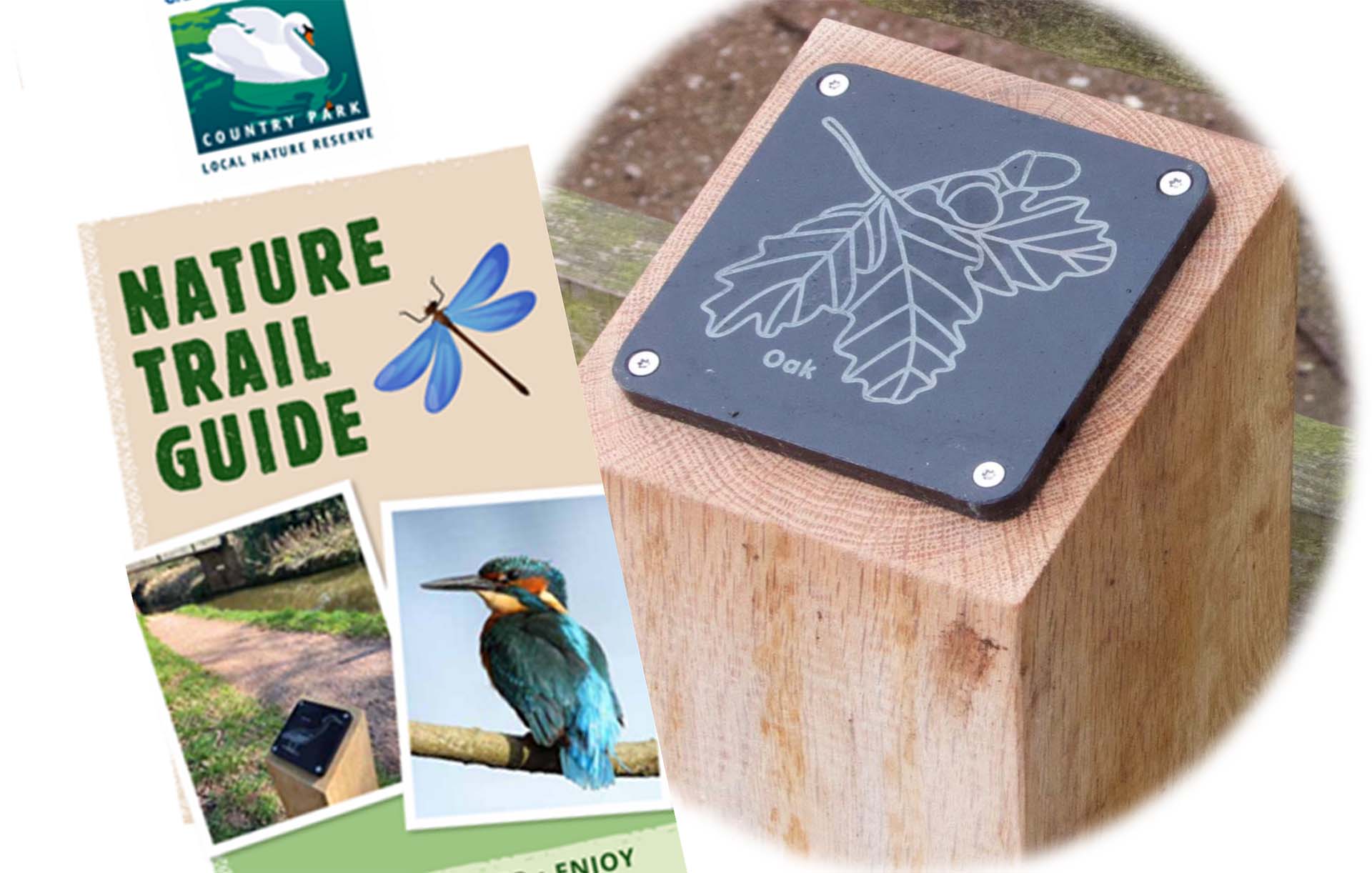 Try the New Grand Western Canal Brass Rubbing Nature Trail