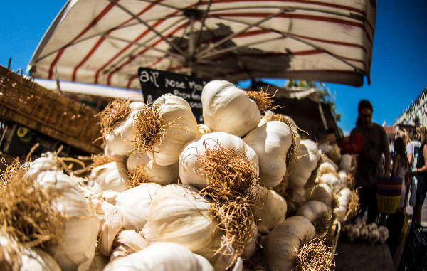 Exeter Farmers Market